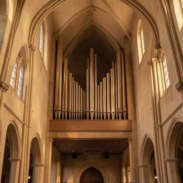 Cathedral Pipes